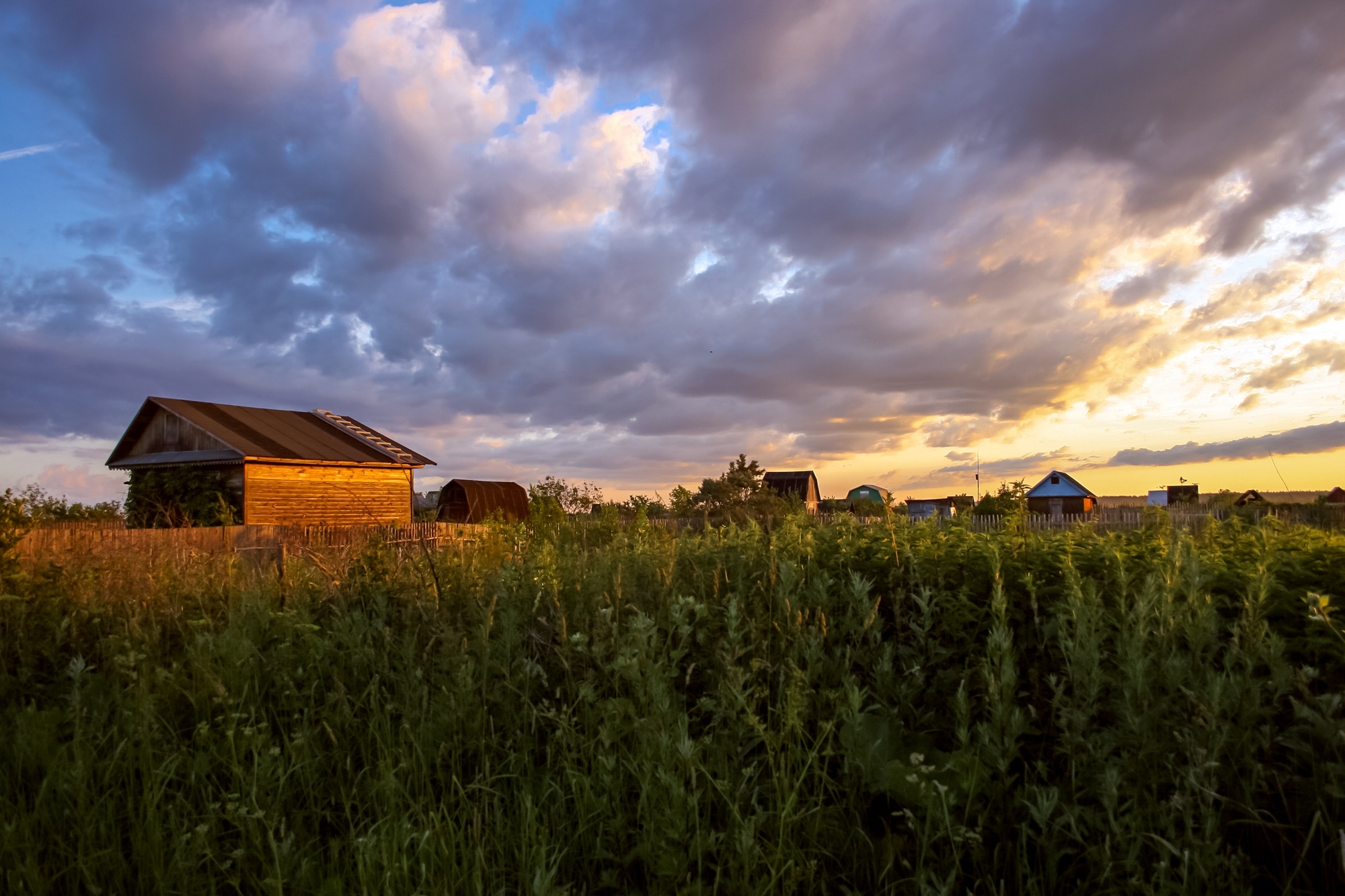 Summer village landscape at sunset